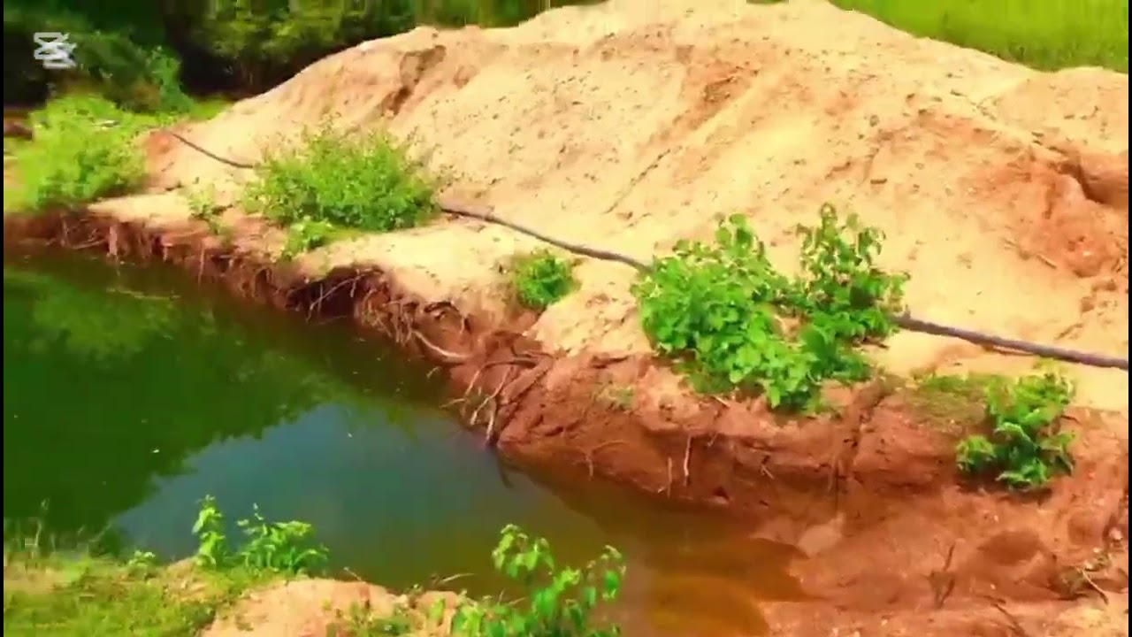 ඩිස් නම් ඩිස් 