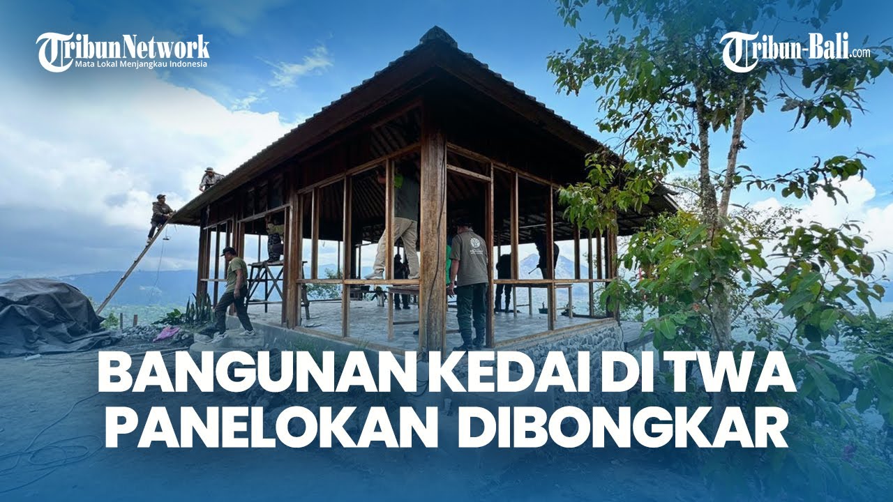Bangunan Kedai di TWA Panelokan Kintamani Dibongkar, BKSDA Bali Lakukan Pemulihan Ekosistem