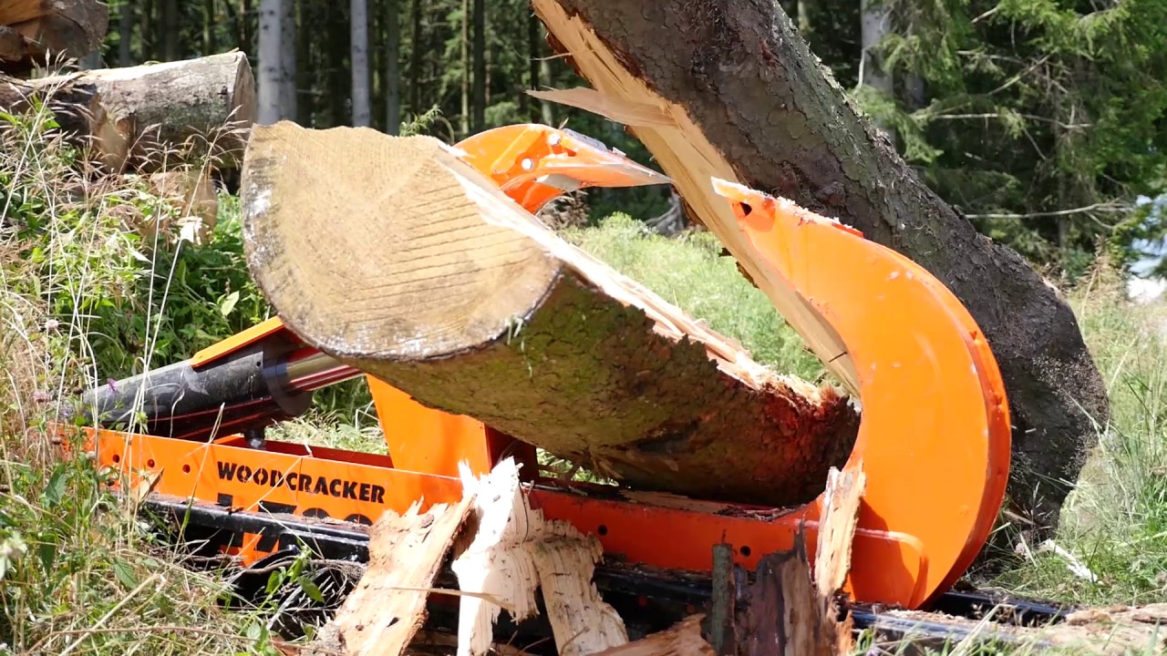 Woodcracker L700  Palms H13D K840 by Ernst Sommersguter :-)