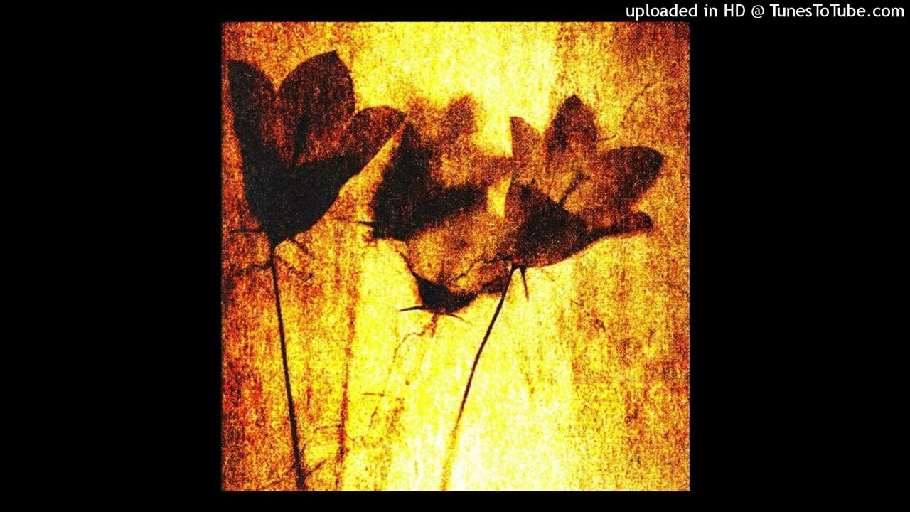 [free] shoegaze x alternative rock type beat - 