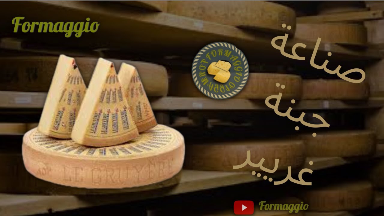 صناعة جبنة غريير #كيفية_صنع_الجبنة Greyer_cheess# #الجبنة_السويسرية