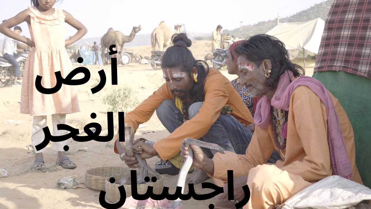 ارض الغجر في راجستان / مهرجان الابل الاكبر بالهند