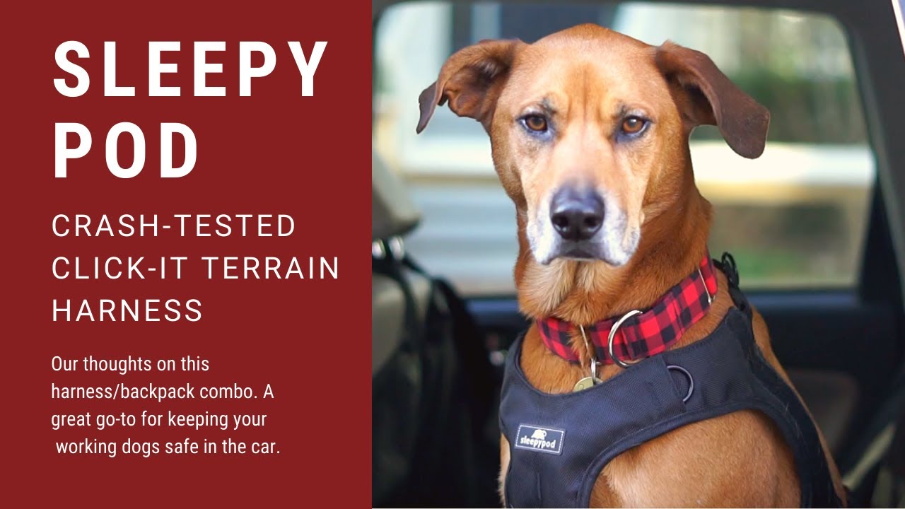 How to Use the Sleepypod Click-it Terrain Crash Tested Car Harness
