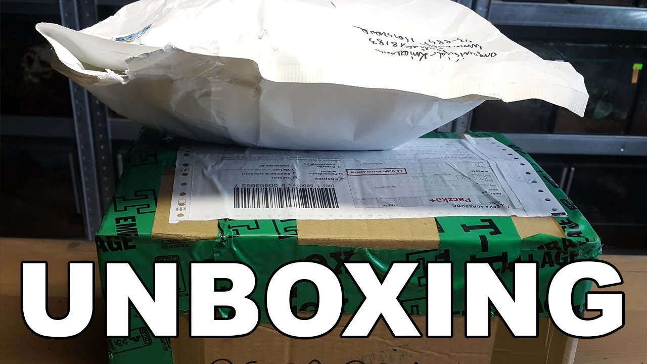 Unboxing 2 paczek! Lekcja #4 😡 Przekładanie, przygotowanie pojemników - spidersonline.pl