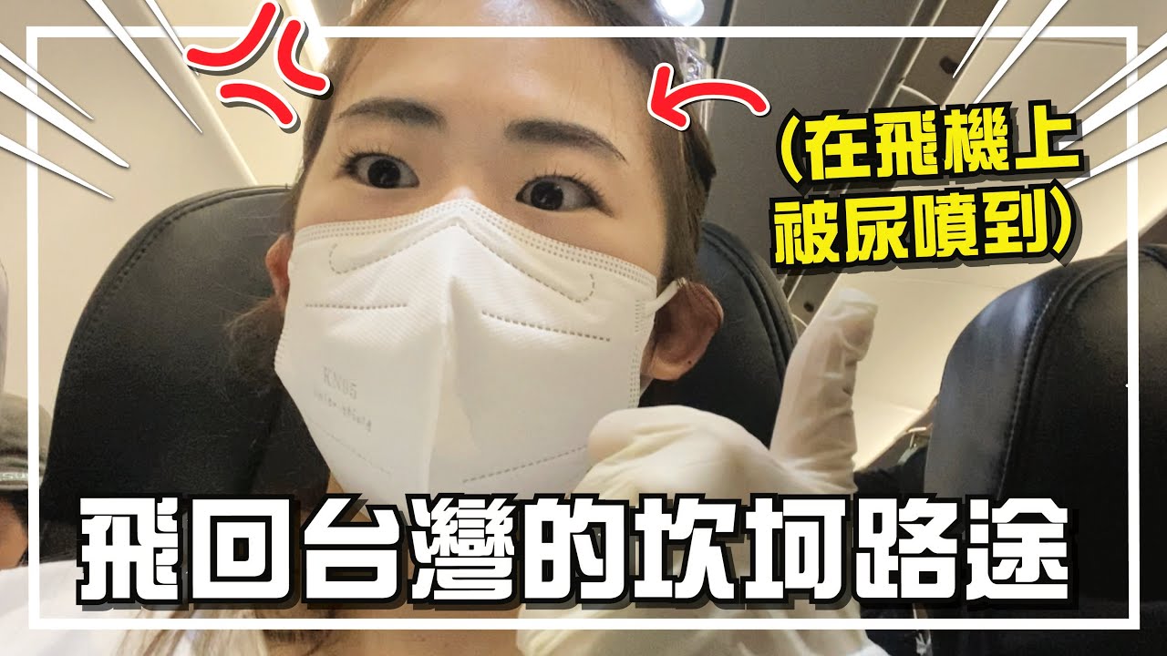 馬來西亞girl回台灣啦！被尿噴到超生氣... 回台VLOG【手癢計劃】