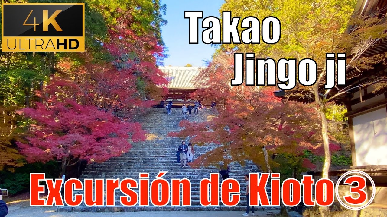 Una ruta de otoño  Jingo ji de Takao, Saimyou ji de Makinoo, Kouzanji de Toganoo / KoKoRo TV