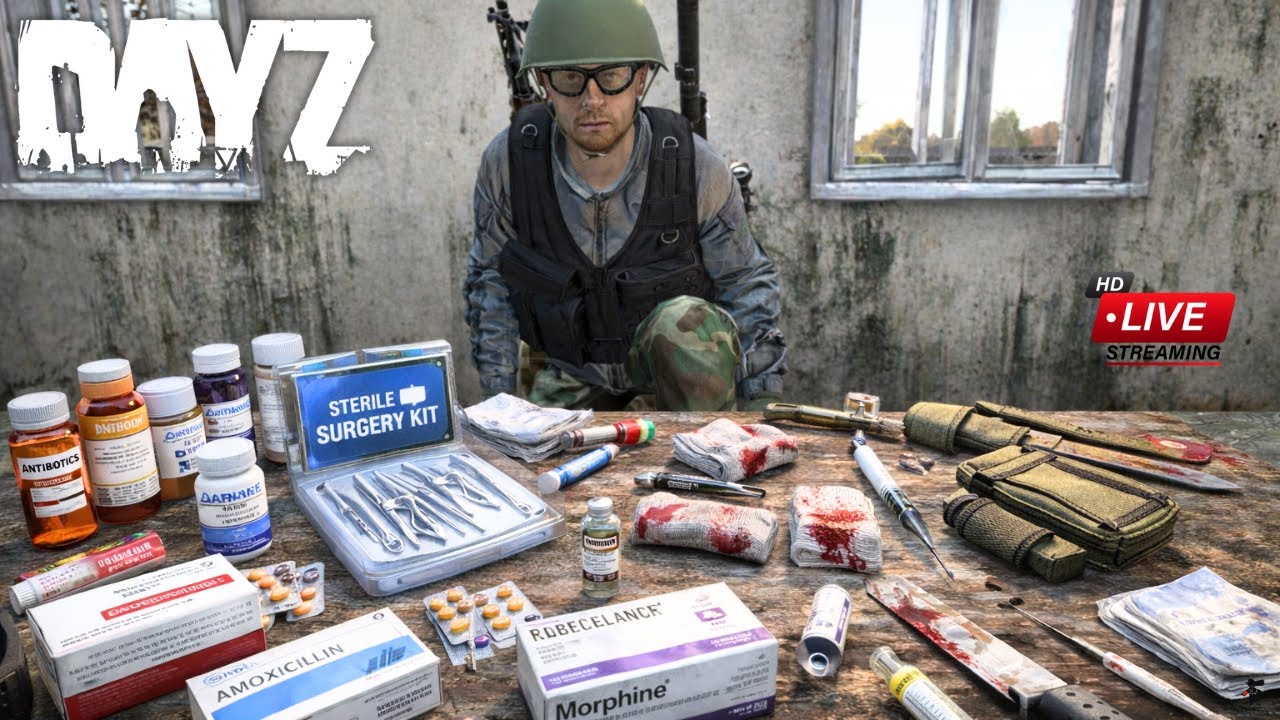 CHERNARUS - Trying the Hardest DayZ Server  -  |  DayZ 1440p Live Stream  | !discord