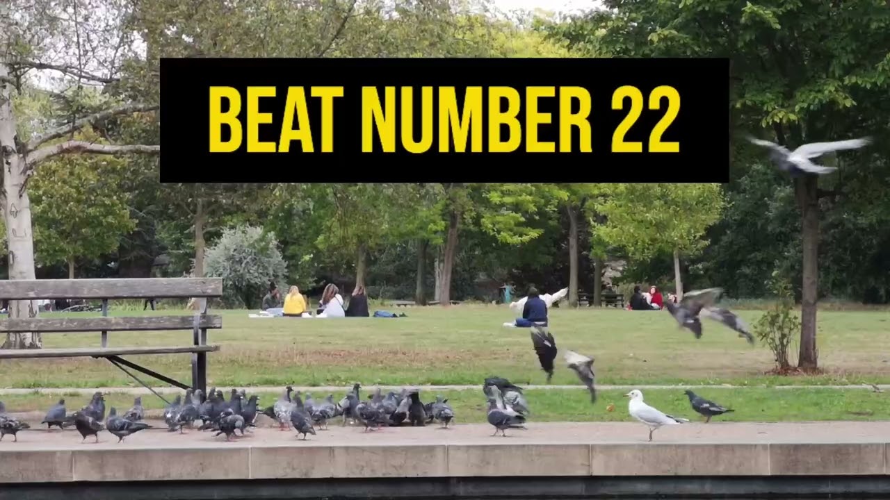 beat 22 of 2026