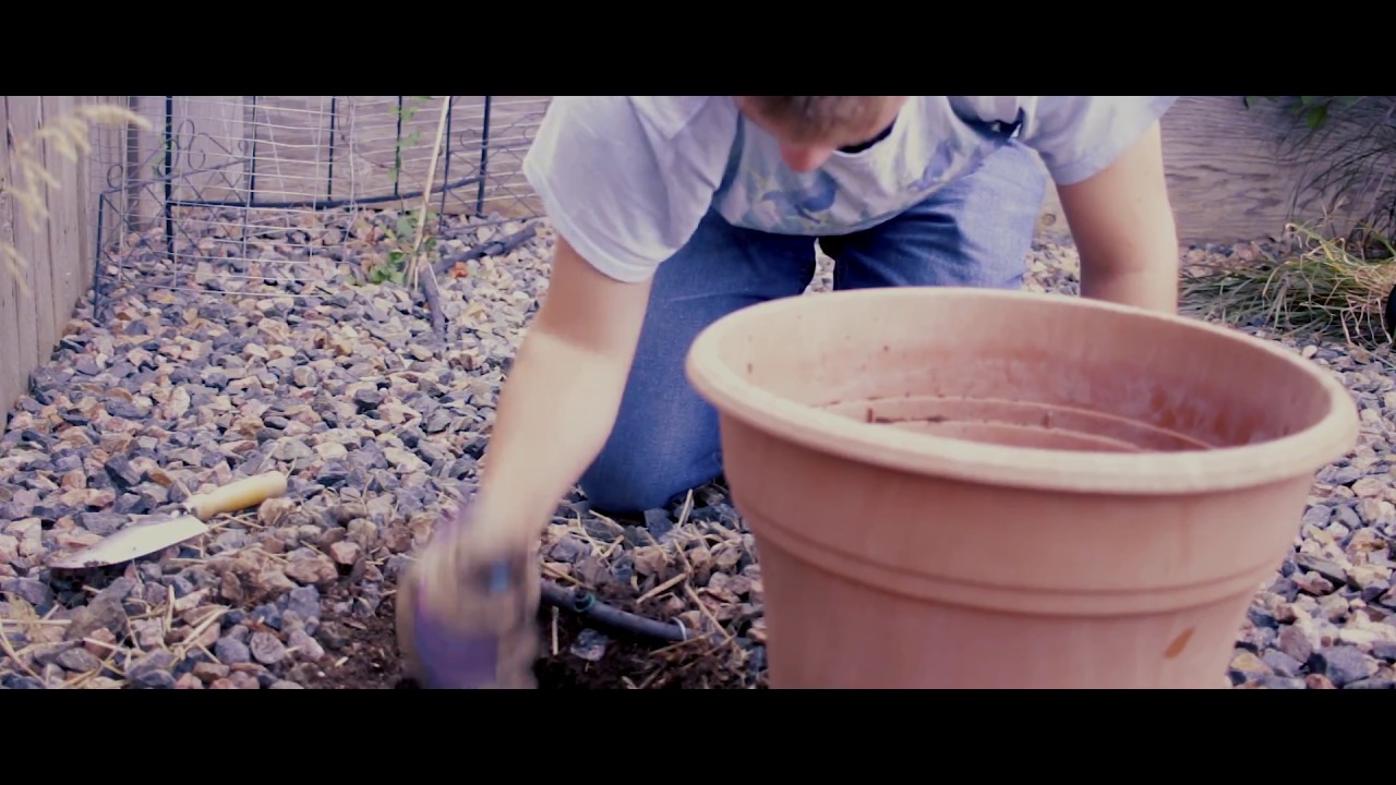 ASMR Gardening | 😌🌿⛏ 🌩 | intense rock, shovel, digging, & thunder sounds