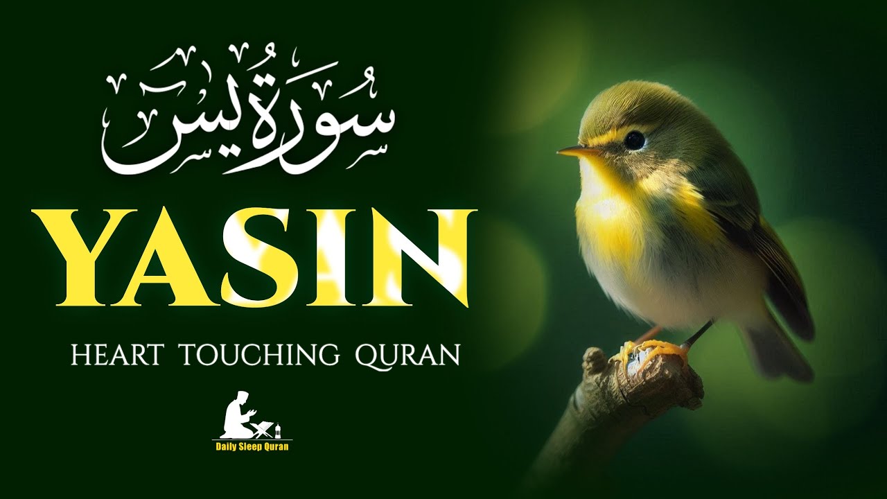 Surah Yaseen (سورة يس) | Soothing & Beautiful Recitation for Inner Peace | Daily Sleep Quran