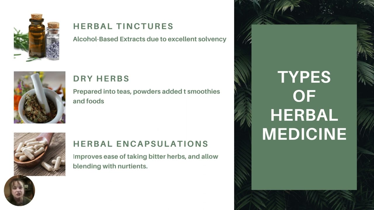BEGINNER HERBALIST FILES: Intro to Herbal Medicine