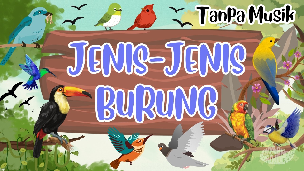 [TANPA MUSIK] BERKENALAN DENGAN BERBAGAI JENIS BURUNG || Fokus Belajar Jenis Burung #tanpamusik