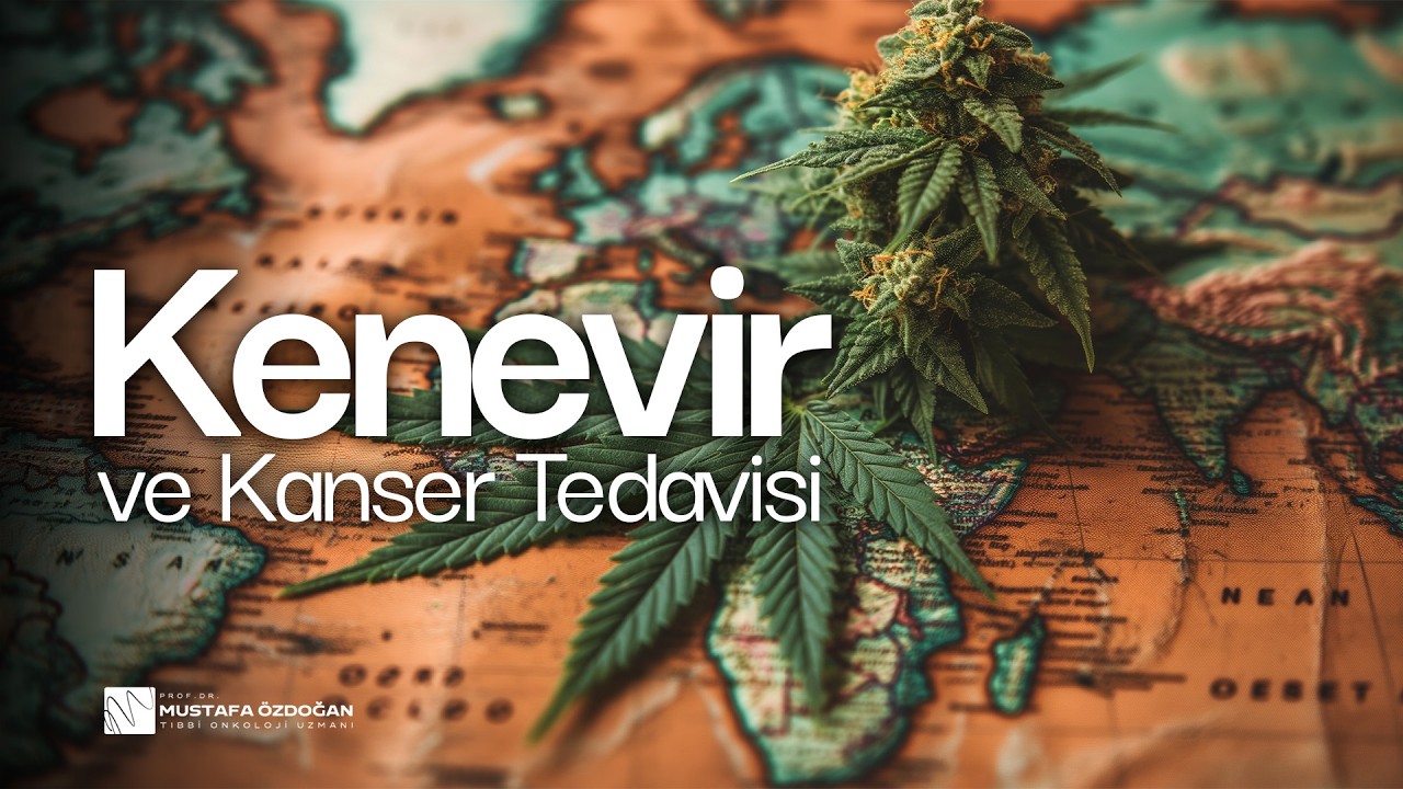 Kenevir (Esrar) ve Kanser Tedavisi: Bilimsel Gerçekler, Şehir Efsaneleri ve Tehlikeli Yanılgılar