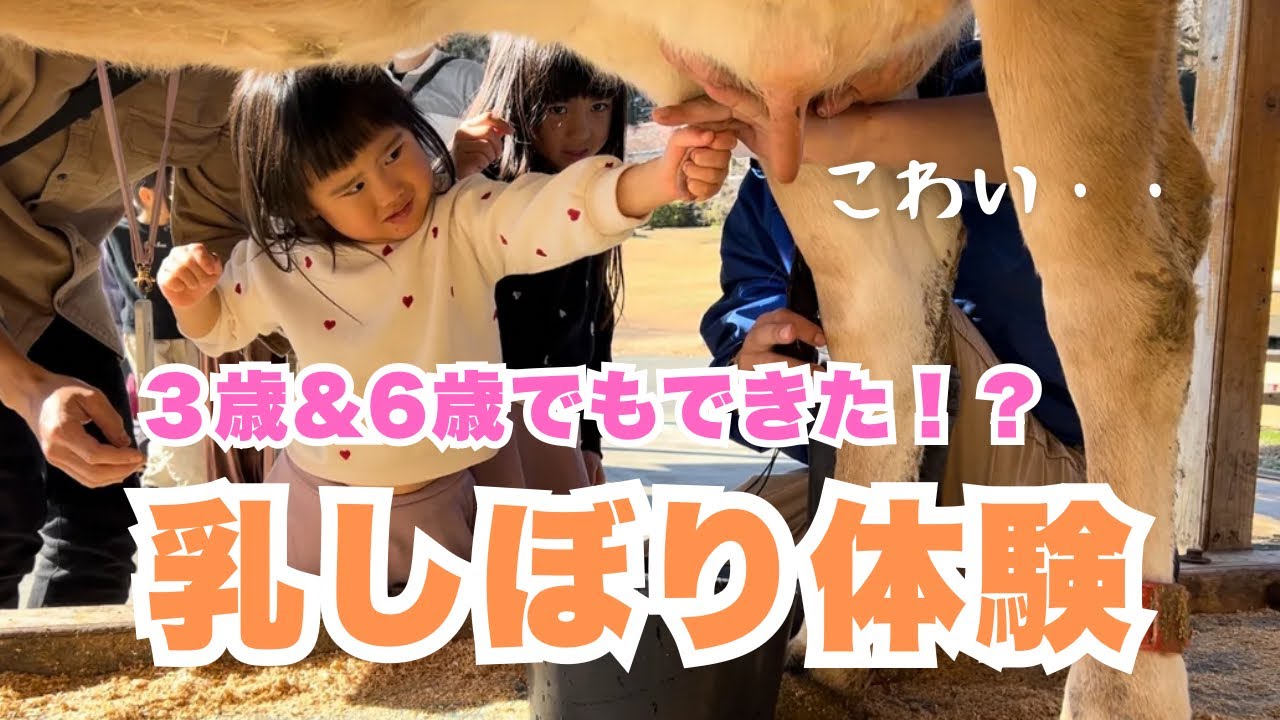 【子連れ牧場】3歳＆6歳が人生初の乳しぼり・餌やり体験｜まかいの牧場