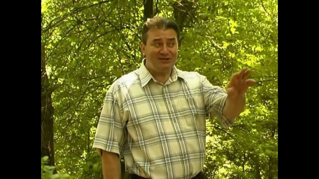 Манол Михайлов- Тате ле, тате