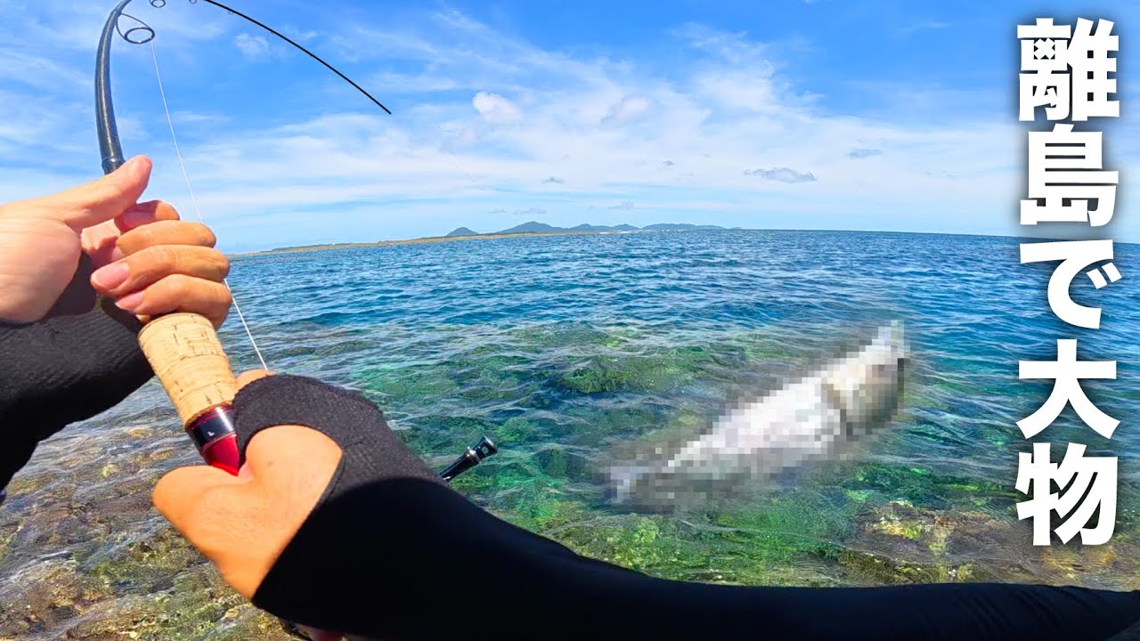 【離島ウェーディング】竿ブチ曲がり！深場の海に潜む大物がHITして浅瀬で暴れる！！