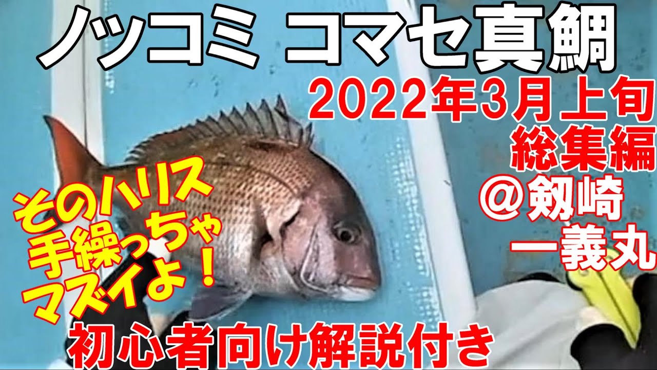 【総集編＋初心者向け解説】なんてこっ鯛！ノッコミ・コマセ真鯛釣り2022年3月上旬 @剱崎（剣崎） 一義丸