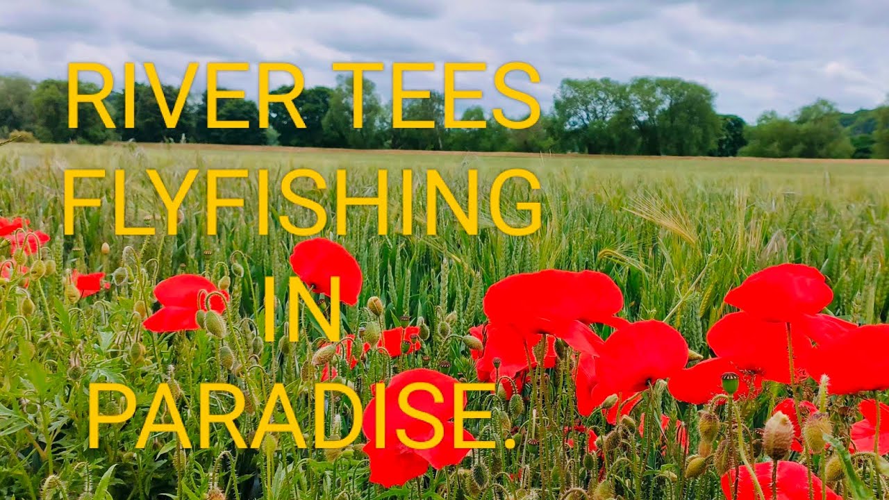River tees fly fishing ..rock fishing👌