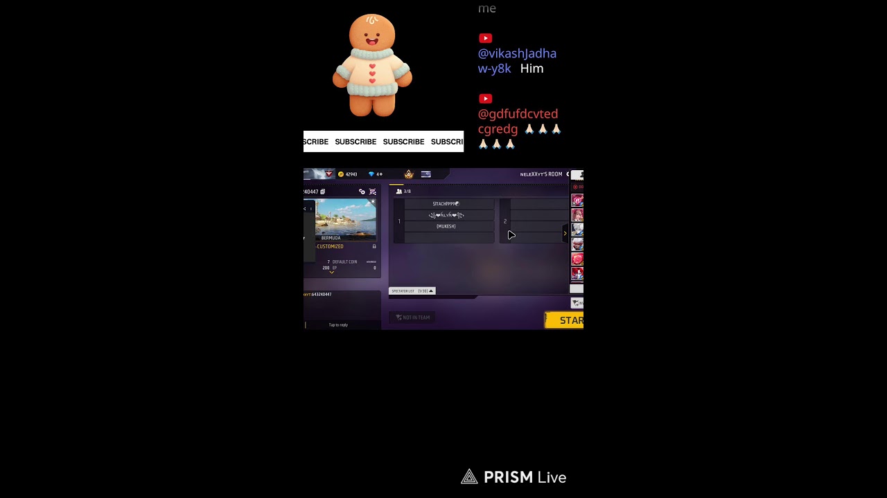 Live streaming of NELEXYT