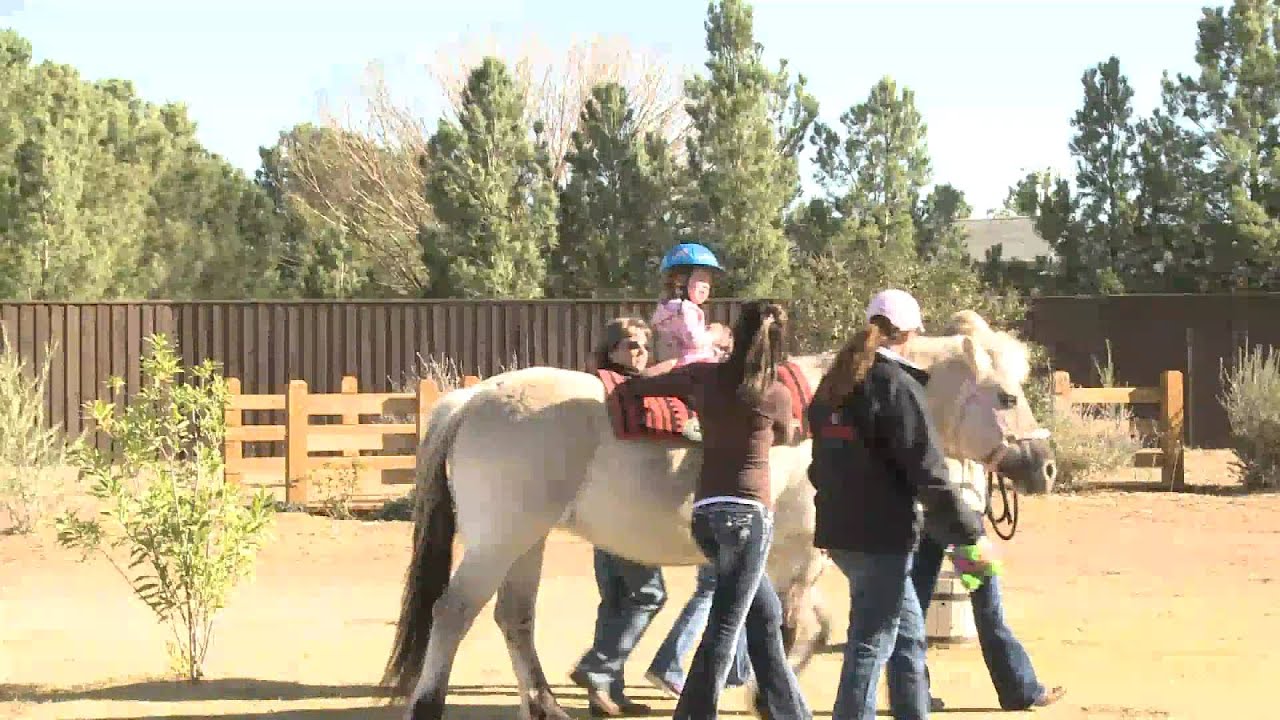 KEEPING IT LOCAL: Hippotherapy