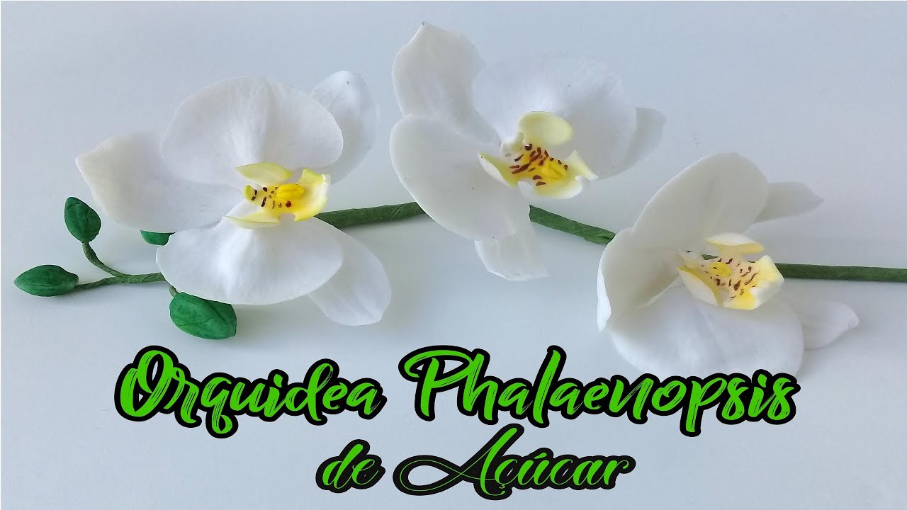 Como Fazer Orquídea de Açúcar, Pasta Americana ou Biscuit ARRANJO SIMPLES e LINDO