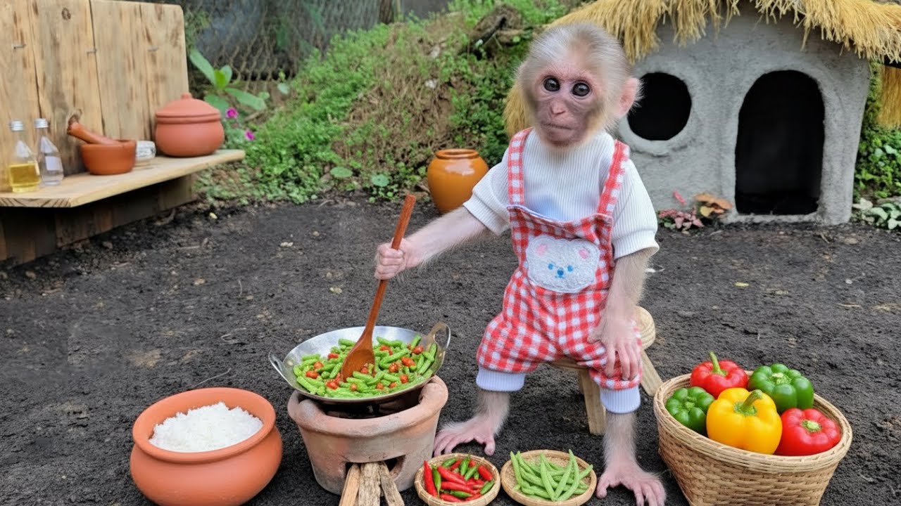 Baby monkey Xuka harvests green bean on the farm and coks mixed rice