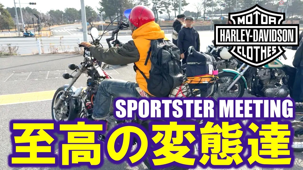 【スポーツスター至高の変態達】オーナーの拘りと遊び心が詰まったスポーツスター達、ここまで出来るのか！#ハーレー #スポーツスター #sportster  #xl1200