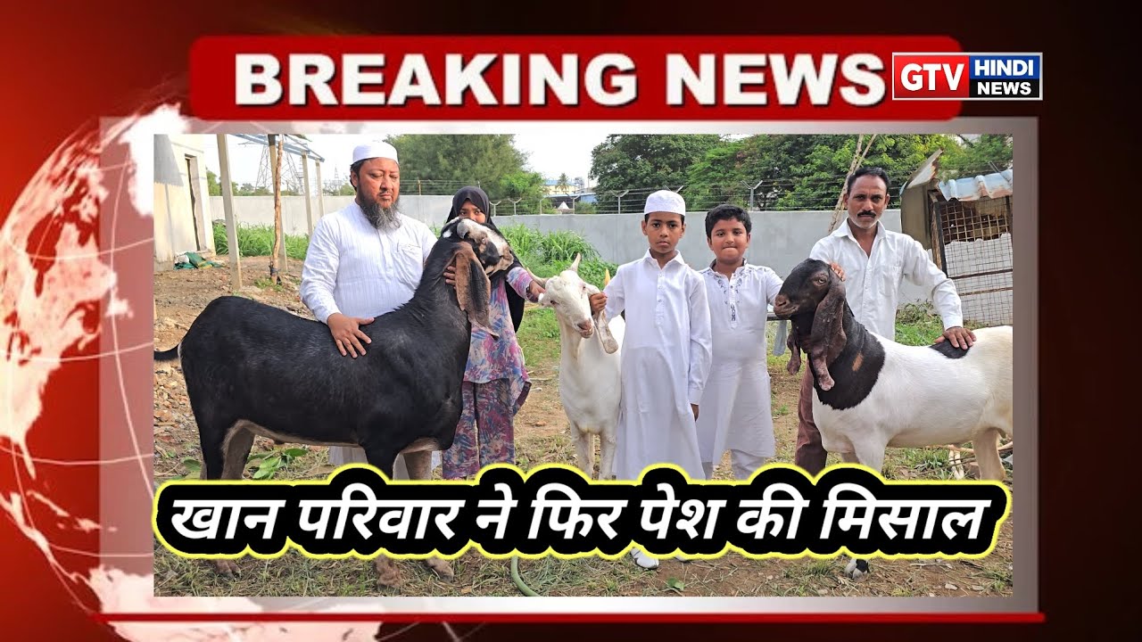 वापी के खान परिवार ने फिर पेश की मिसाल, 140 किलो का बकरा बना आकर्षण का केंद्र