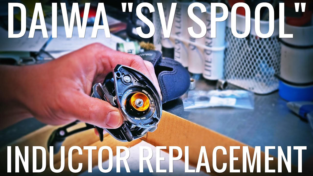 Daiwa STEEZ SV TW SPOOL ISSUE/PROBLEM Explained & Resolved (SV SPOOL INDUCTOR REPLACEMENT)