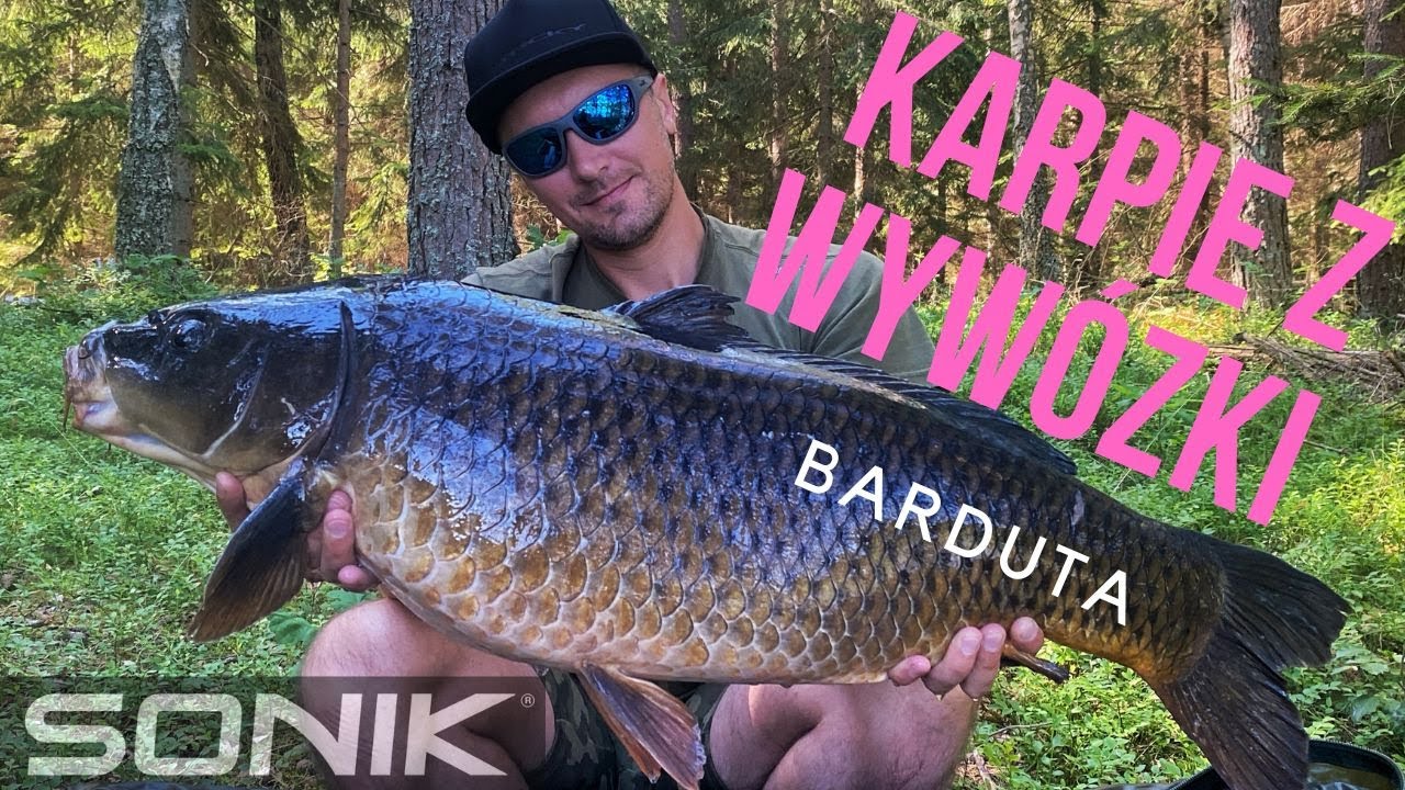Karpie z wywózki- Barduta