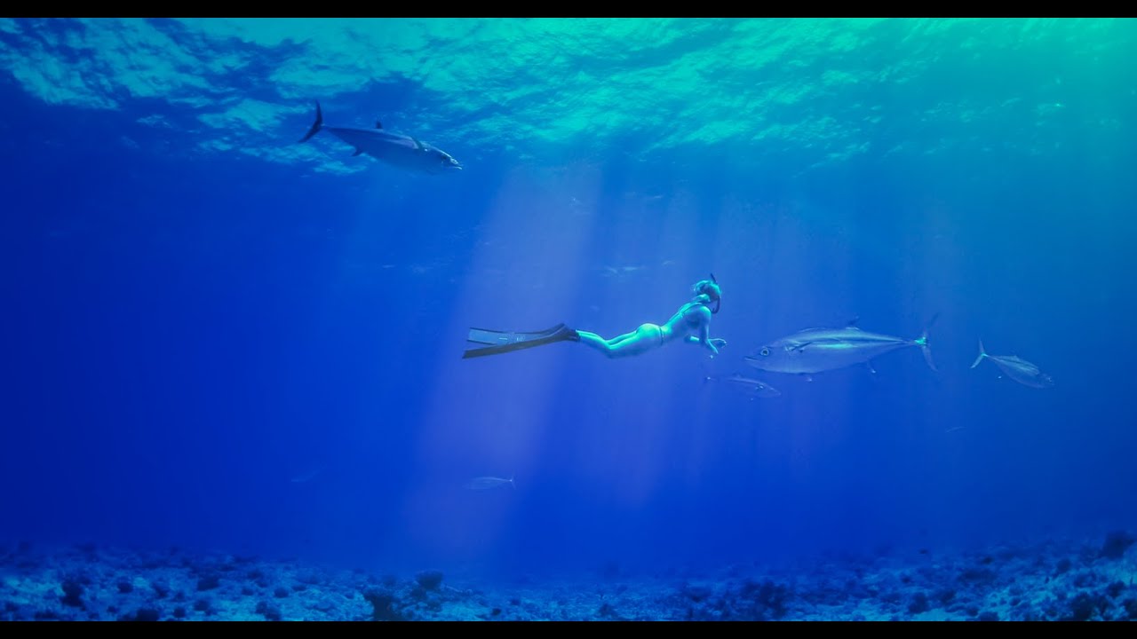 GOPRO FUSION 360 SPEAREFISHING