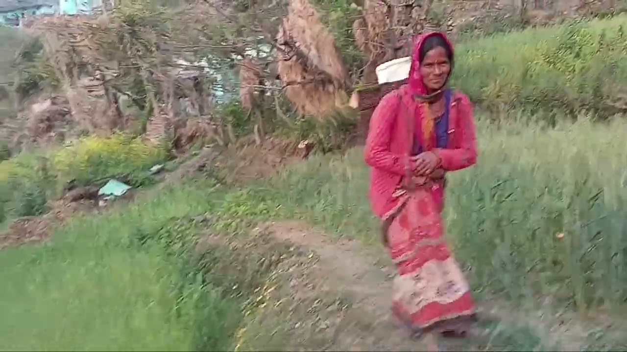 आजकल पहाड़ों में सुन्दर फूल 🌼 देखने को मिल रहे हैं 