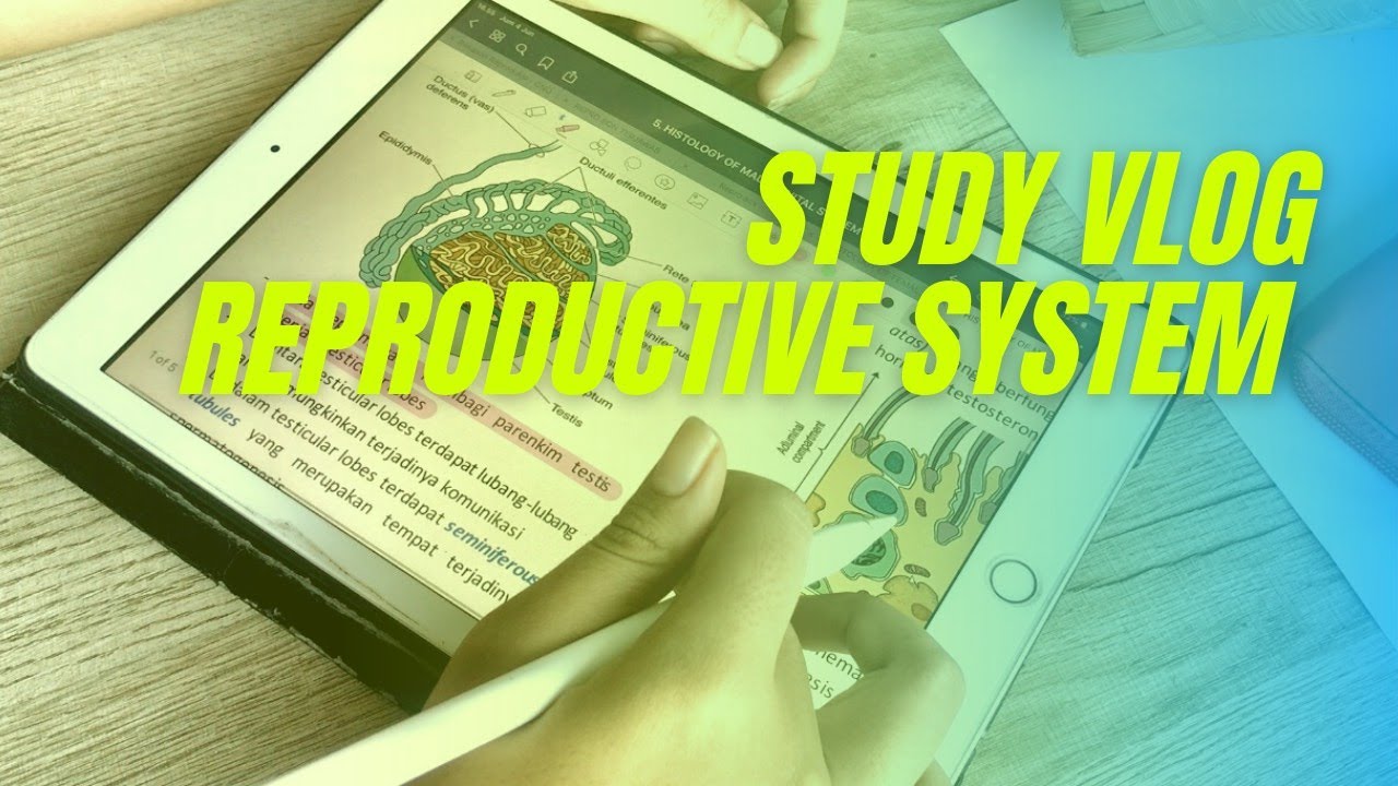 STUDY VLOG #8 | EXAM DAYS : REPRODUCTIVE SYSTEM (INDO) #MedStudLife 👩🏻‍⚕️ | Atmi Satyawati