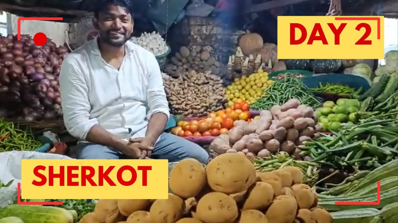 SHERKOT DAY 2 ( Market Visit ) शेरकोट बाज़ार की एक झलक // Beard Man Story