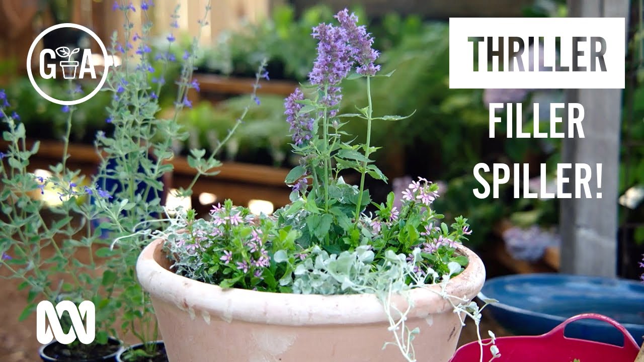 Thriller Filler Spiller! | Garden Design & Inspiration | Gardening Australia