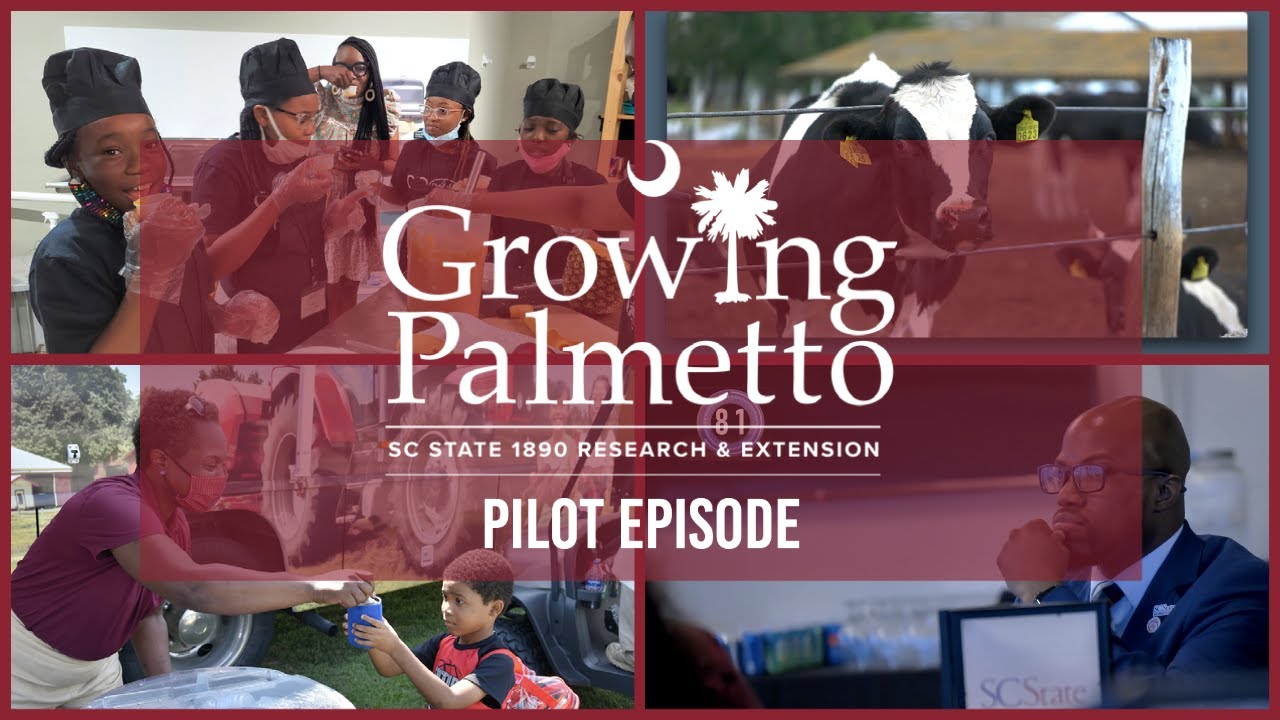 Growing Palmetto | Pilot Episode (Season 1)