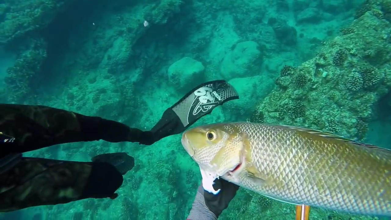 Deep Dives Ep. 1