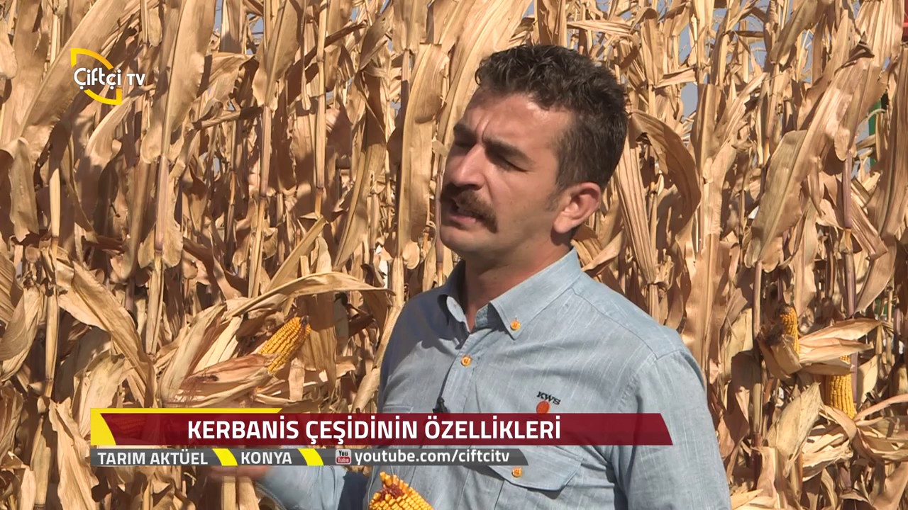 Tarım Akt&uuml;el - KwsT&uuml;rk Tarla G&uuml;n&uuml; Etkinliği Konya