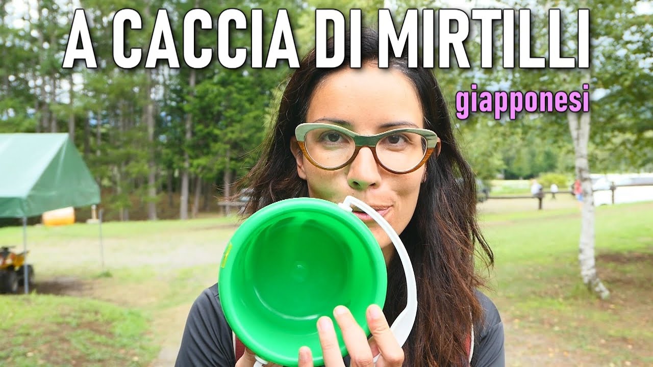A raccogliere mirtilli sugli altipiani giapponesi del KAIDA PLATEAU - Ep. 20