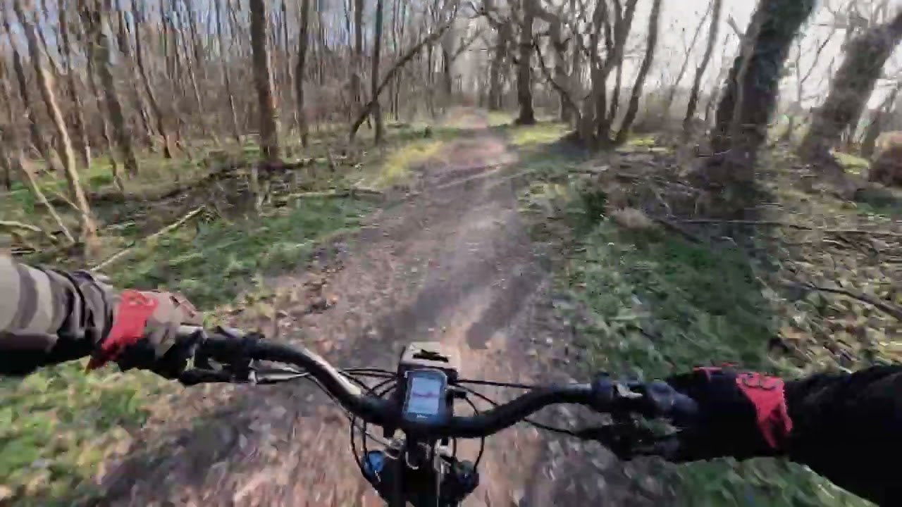 MTB Fun Padurea Verde