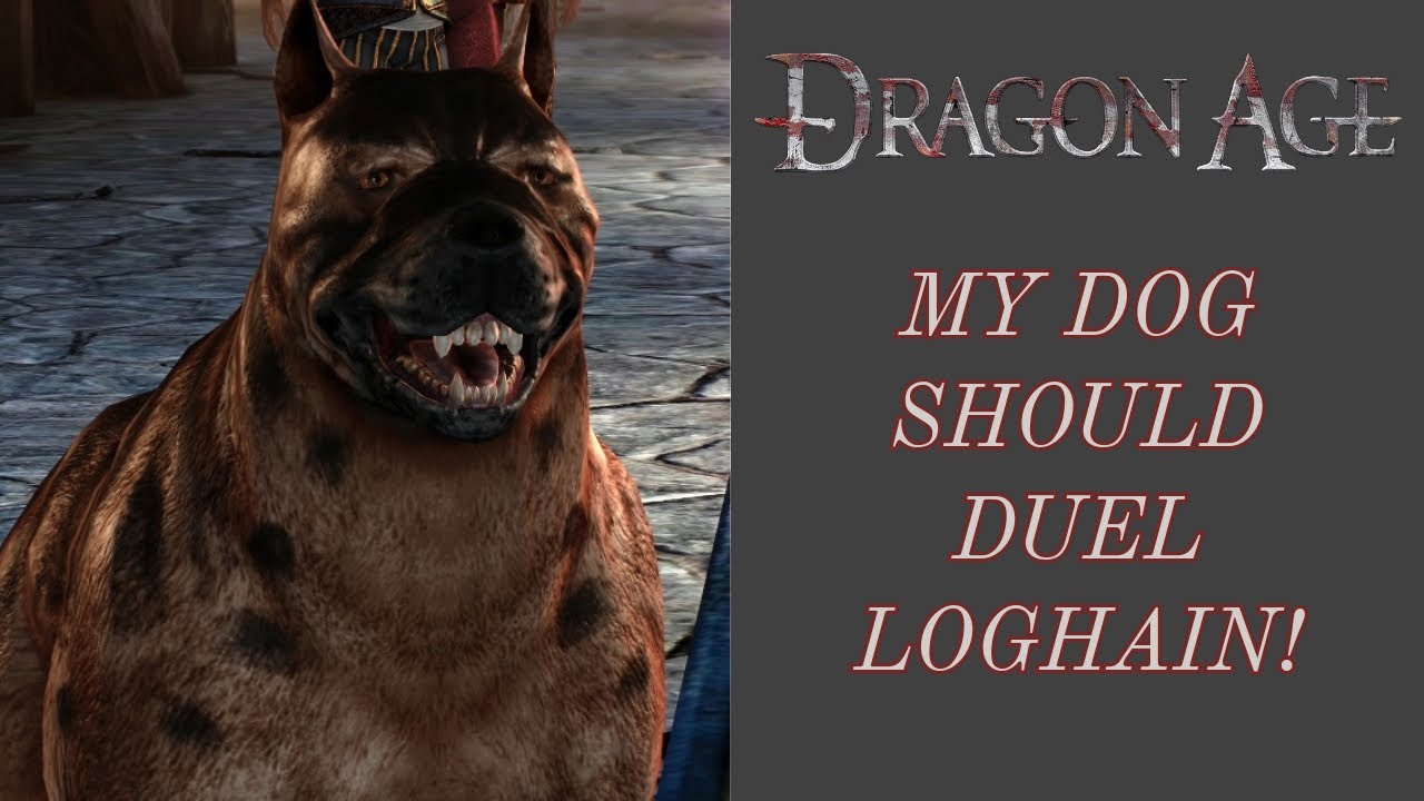 Dragon Age: Origins | Choosing My Dog to Duel Loghain at the Landsmeet in DAO