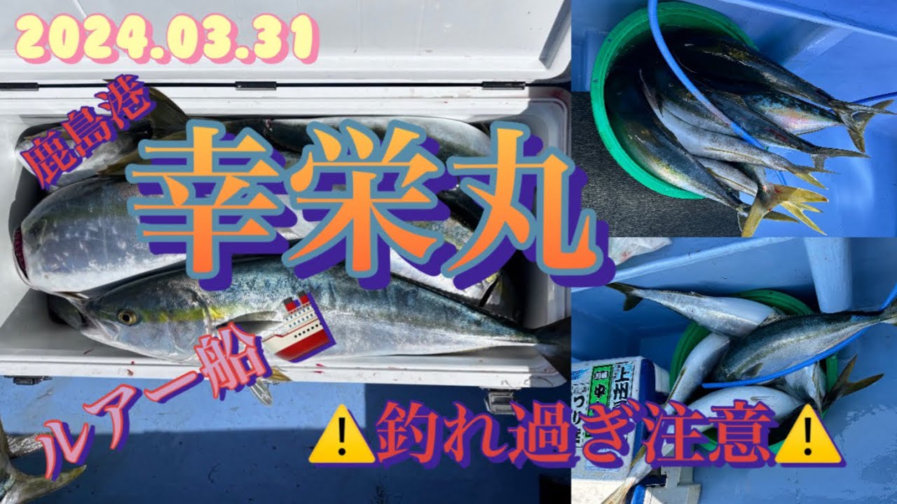 2024.03.31 鹿島港　幸栄丸　青物ルアー船　こんなに釣れちゃう