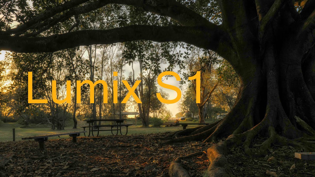 Lumix S1 in 2026??