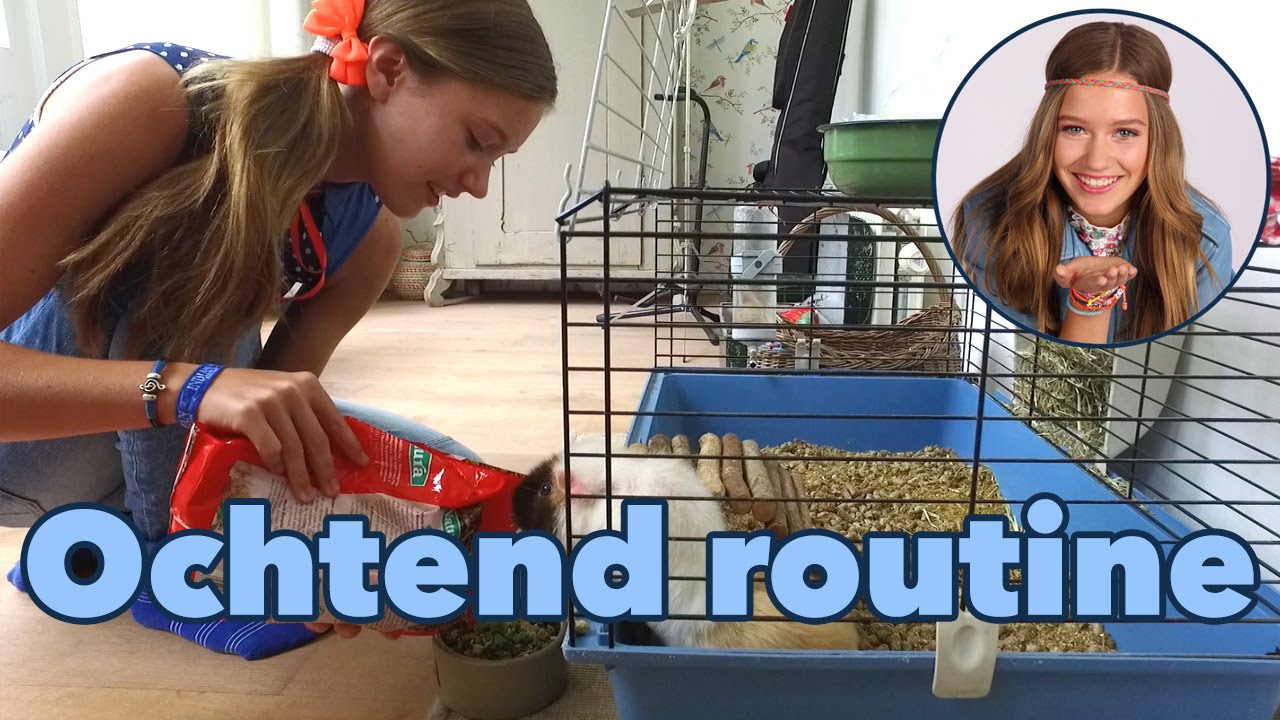 #24 STERRE: OCHTEND ROUTINE | JUNIORSONGFESTIVAL.NL