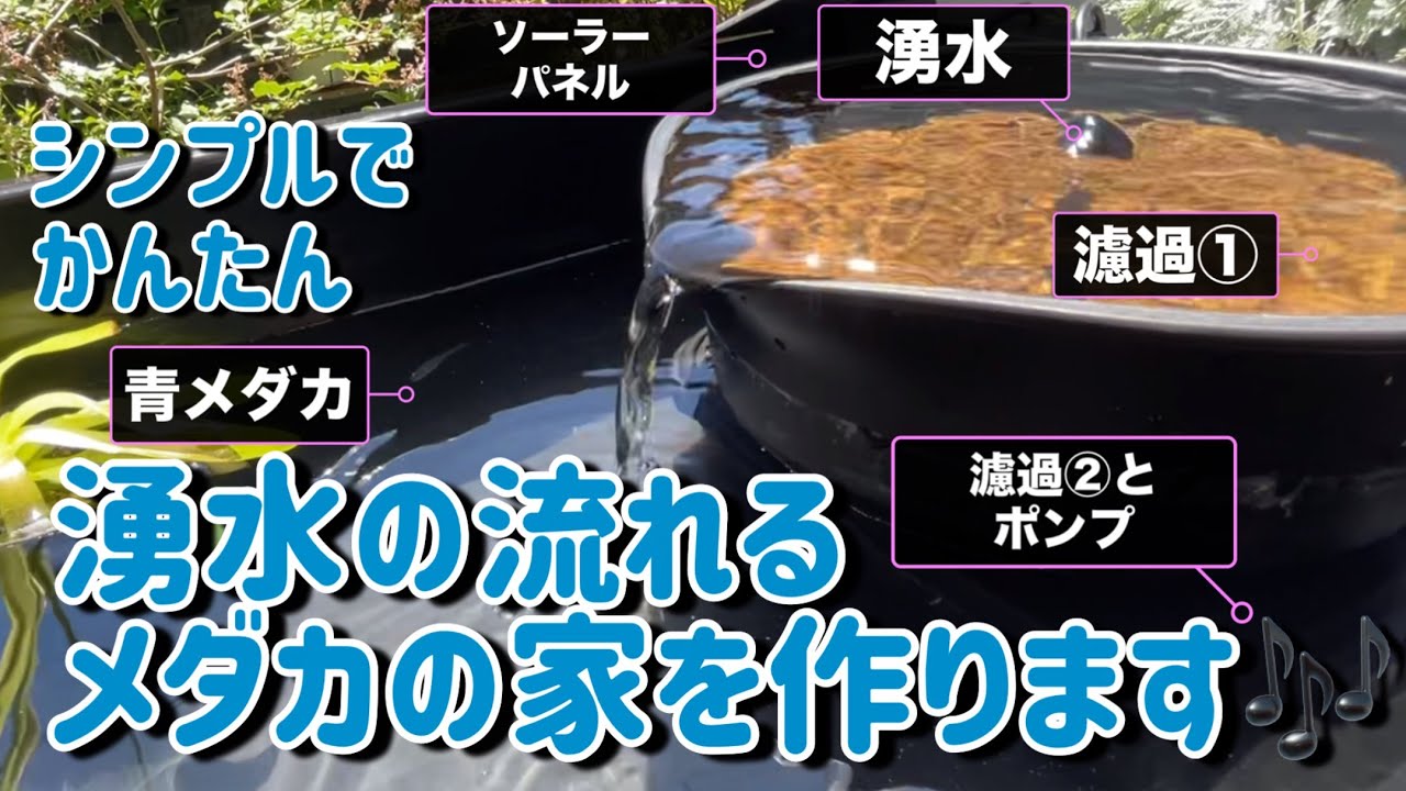 🔵湧水が流れる青メダカの家を作りました。