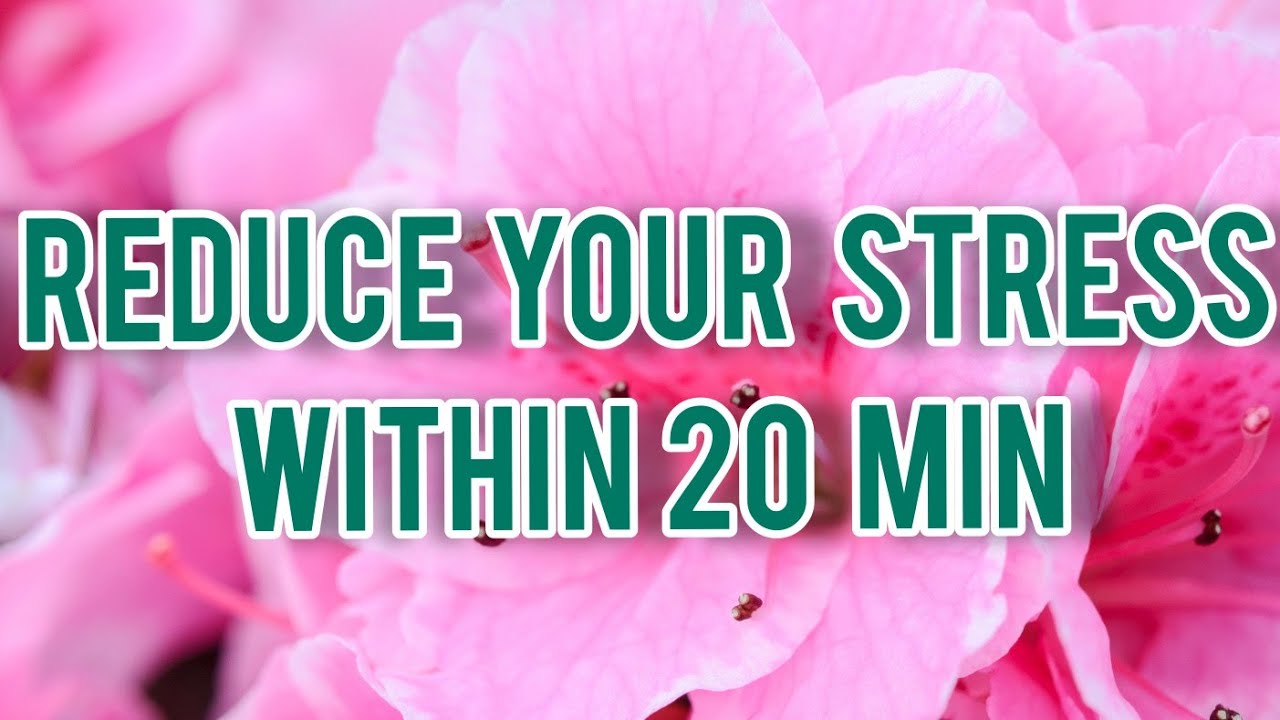 🔴20 minutes of relaxation music | forget your tough day#relaxationsounds#relaxationvideos#meditation
