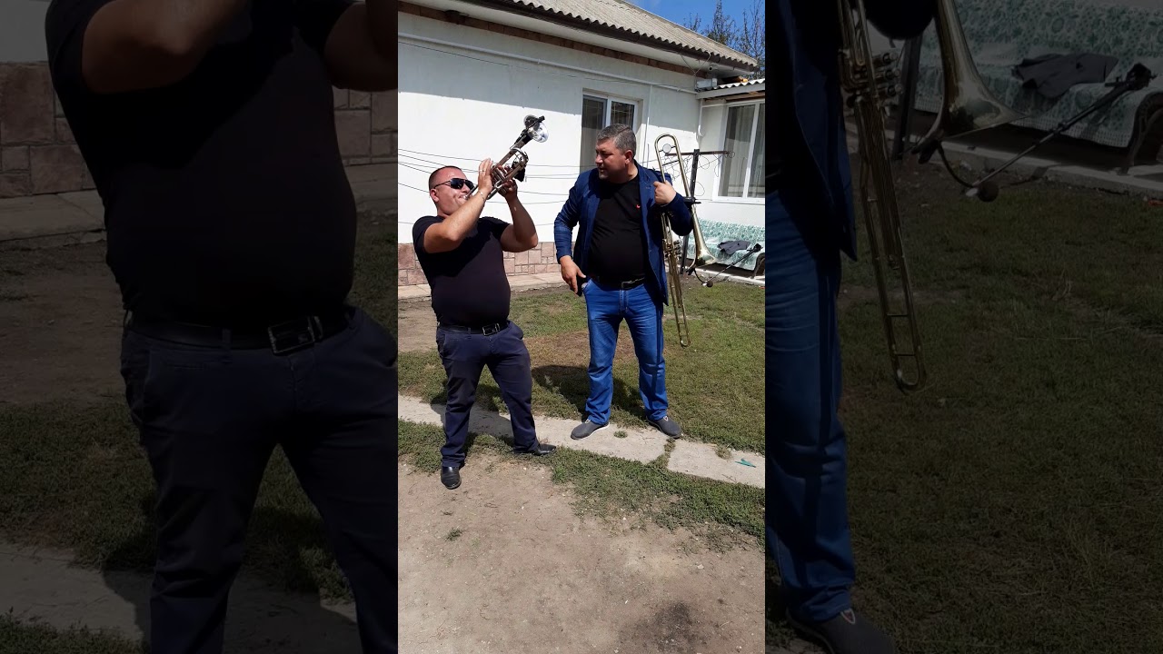 Lautarii din briceni
