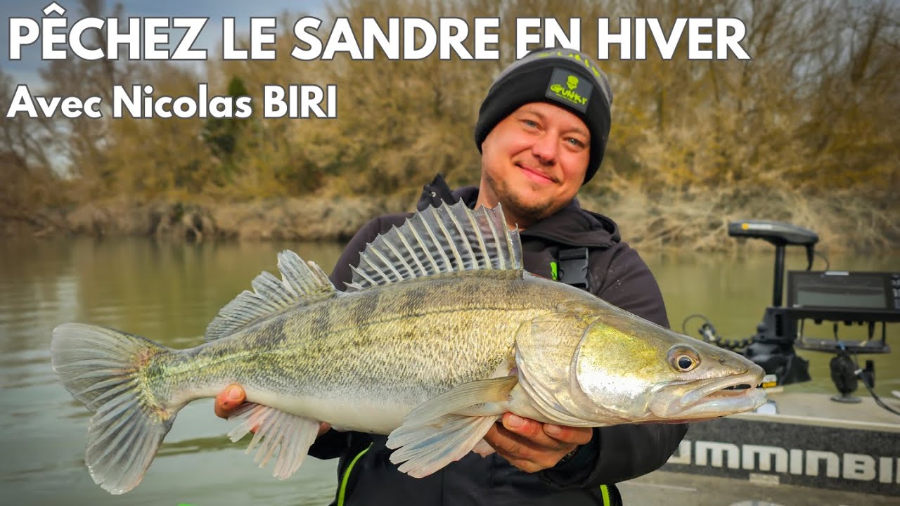 Session SANDRES aux Leurres Souples dans le Rhône