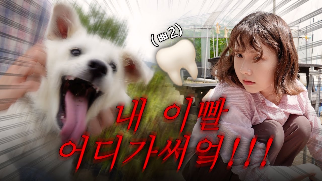럭키는 이빨이 빠지고 골드는 사랑에 빠지고 인간은 오이를 무친다
