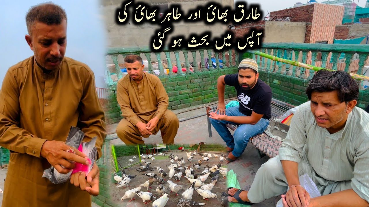 Tarqi Brothers Apna Samnay 💪🏻😅
